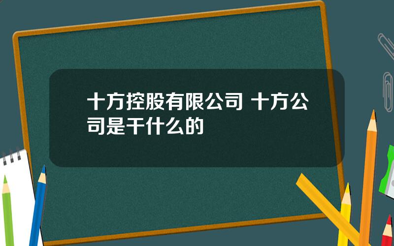 十方控股有限公司 十方公司是干什么的